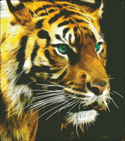 Fractal Tiger
